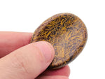 Crystal worry stone from GemstoneGO, 45x35mm soothing crystal for stress relief with mixed gemstone colors and smooth surface.