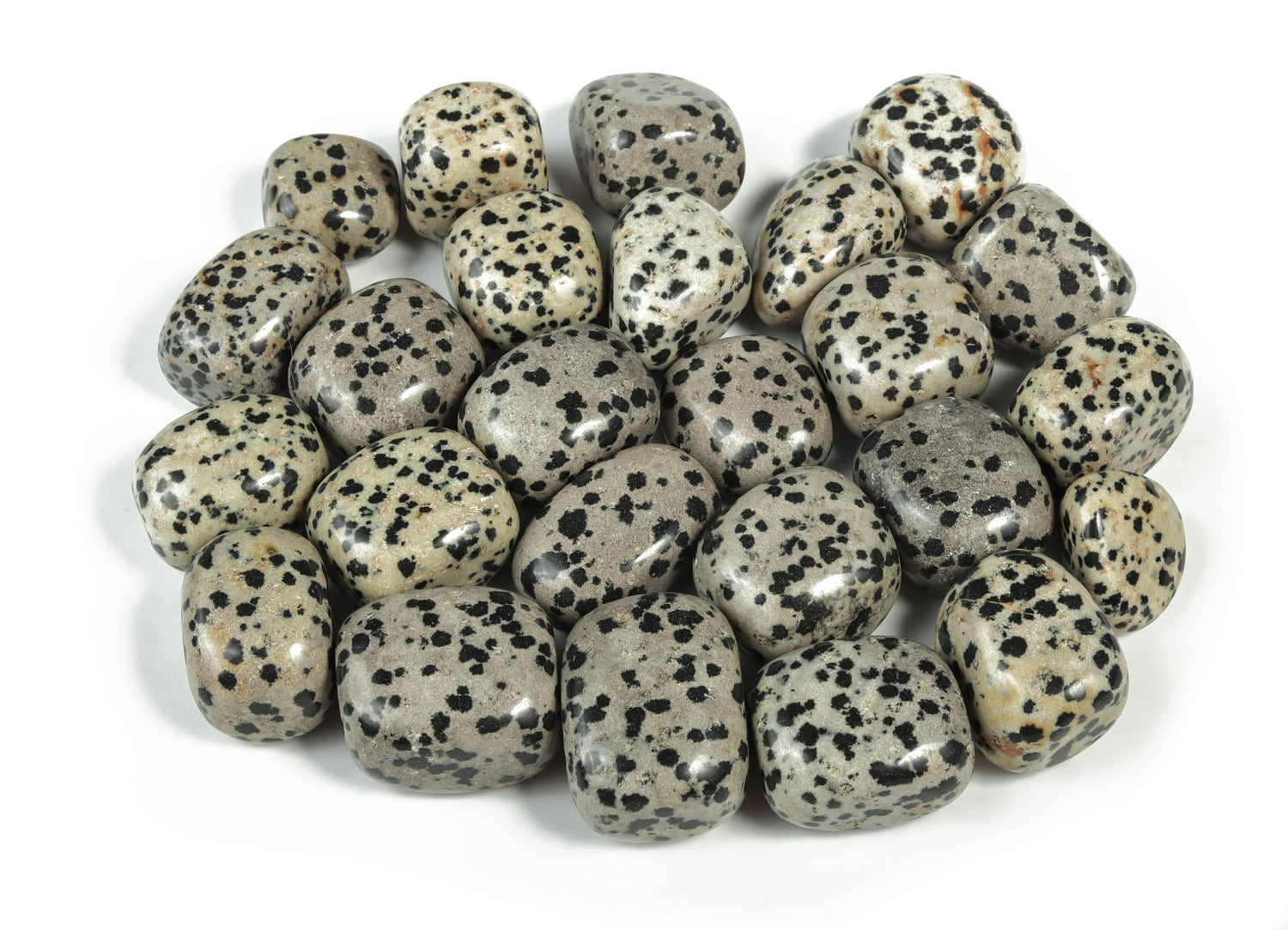 Dalmatian Jasper Tumbled Stone - TU1087
