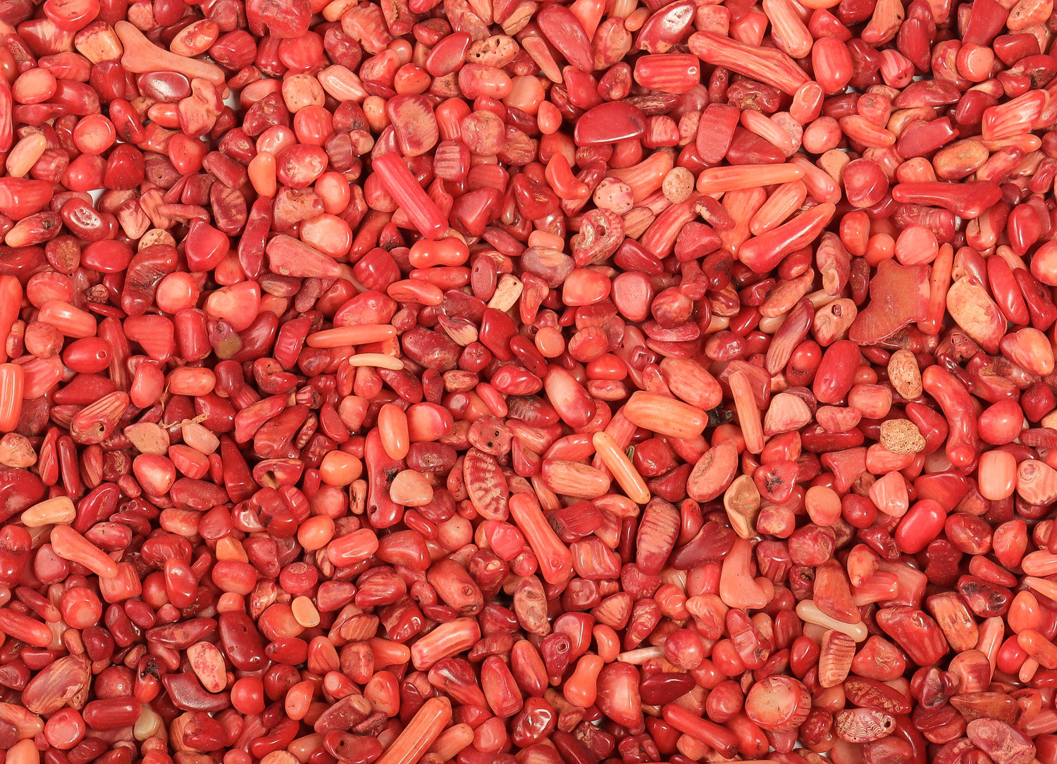 Trozos de Coral Rojo - Piedra Semipulida - A Granel - 2-6mm - CP1016