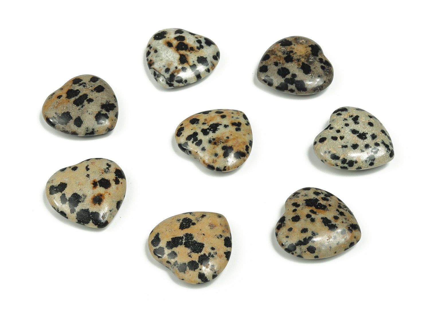 Dalmatian Jasper Heart Gemstone - 20x20x6mm - HE1061