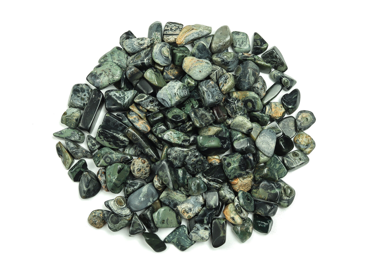 Kambaba Jasper crystal chips, semi-tumbled stones, 7-12mm size, bulk gemstone from GemstoneGO, natural green and black patterned stones.