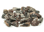 Raw petrified wood gemstone from GemstoneGO, showcasing a textured, natural wood-like appearance and rich earthy tones.