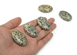 Dalmatian Jasper palm gemstone spa stone, 45x35mm, smooth oval shape with black spots on cream-colored stone for relaxation and meditation.