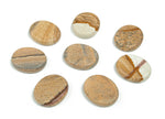 Picture Jasper flat gemstone slab showing natural brown and red patterns, measuring 30x25x7 mm, from GemstoneGO.