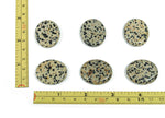 Dalmatian Jasper flat gemstone slab from GemstoneGO, 30x25x7 cm, showing distinctive black spots on creamy background.