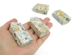 Crazy Lace Agate obelisk tower crystal from GemstoneGO, featuring vibrant multicolored banding and polished stone surface.