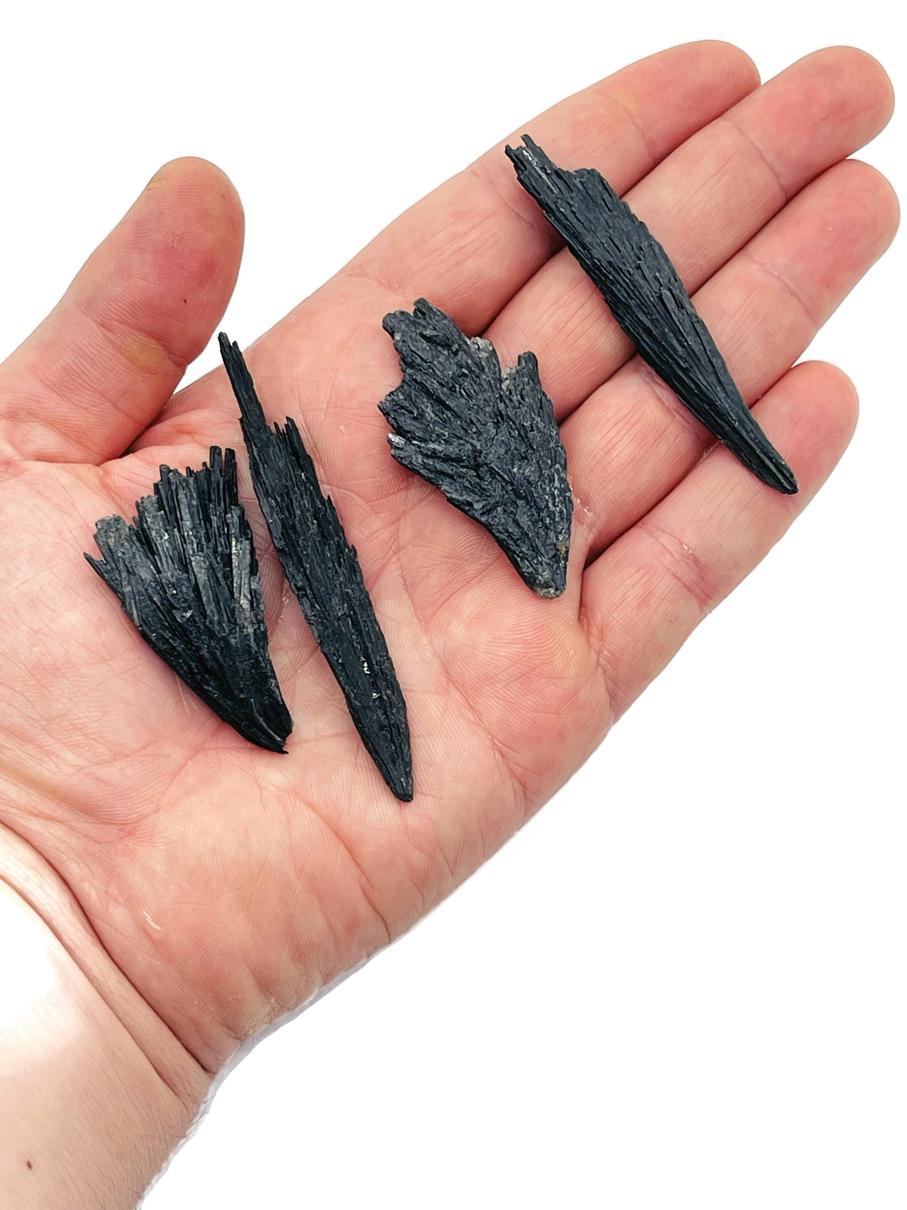 Raw black kyanite gemstone fan shape from GemstoneGO, showcasing natural dark blue-black crystal with fibrous texture.