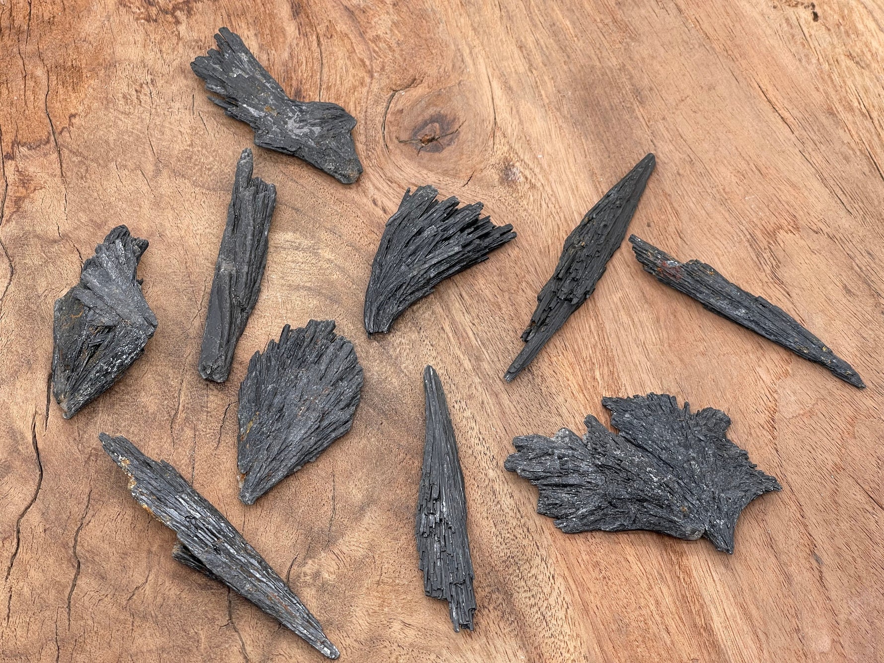 Raw black kyanite fan gemstone from GemstoneGO, showcasing layered, natural black mineral with a fan shape and rough texture.