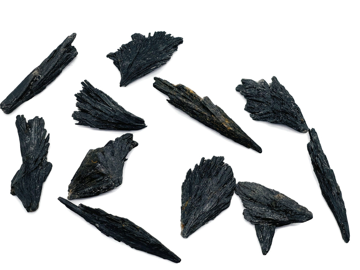 Raw black Kyanite fan gemstone from GemstoneGO showing a natural, matte black mineral with fan-shaped crystalline structure.