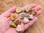 Crazy Lace Agate tumbled stone from GemstoneGO, showcasing vibrant, intricate Mexican agate with colorful banding and unique patterns.