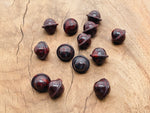 Mini 18mm Chicken Bloodstone Jasper Saturn crystal carved gemstone, featuring detailed planetary design from GemstoneGO.
