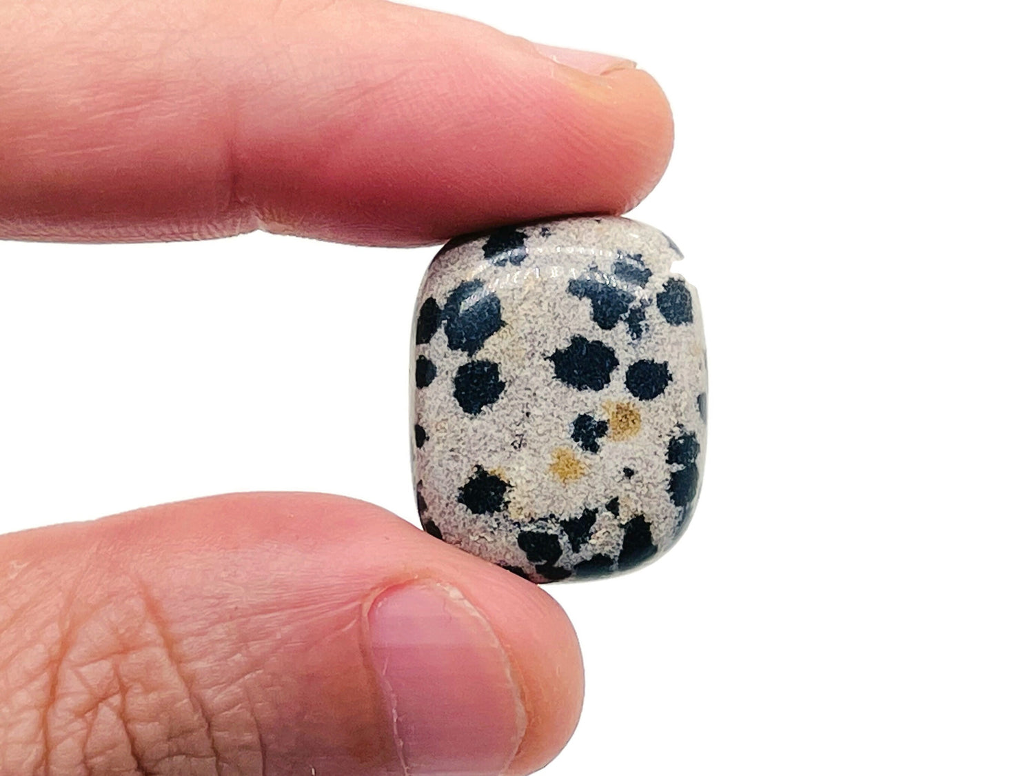 Dalmatian Jasper Tumbled Stone - TU1181