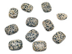 Dalmatian Jasper flat gemstone slab showing black spots on creamy background, from GemstoneGO.