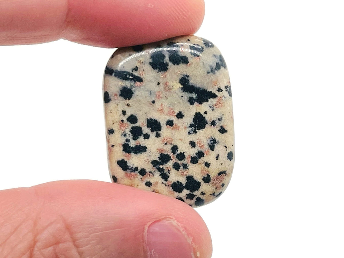 Dalmatian Jasper flat gemstone slab from GemstoneGO, showcasing black and cream spotted stone with smooth polished surface.