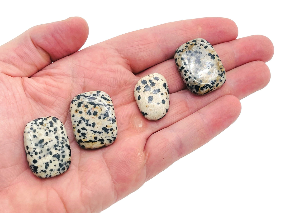 Dalmatian Jasper flat gemstone slab from GemstoneGO showing black spots on creamy beige rock with polished surface.