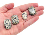 Dalmatian Jasper flat gemstone slab from GemstoneGO showing black spots on creamy beige rock with polished surface.