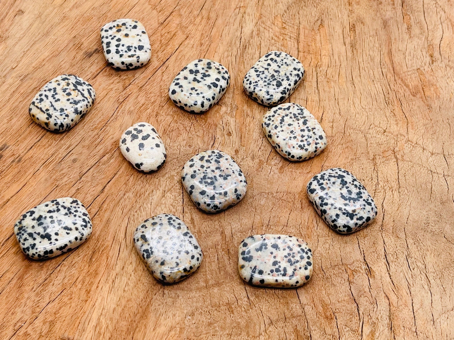 Dalmatian Jasper flat gemstone slab from GemstoneGO, showcasing black and cream spotted mineral with natural stone patterns.