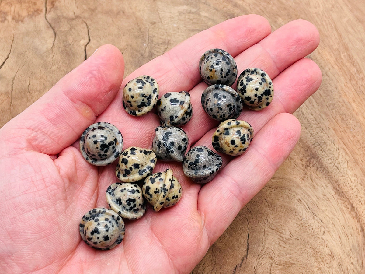 Dalmatian Jasper Saturn crystal carved as a mini planet gemstone, 18mm, from GemstoneGO, showing detailed speckled black and white pattern.