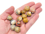 Mini Crazy Lace Agate Saturn crystal gemstone carved as a planet, 18mm size, showcasing intricate patterns and vibrant colors.