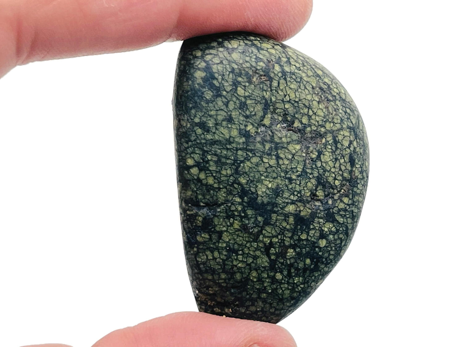 Asterite Serpentine Tumbled Stone - TU1205
