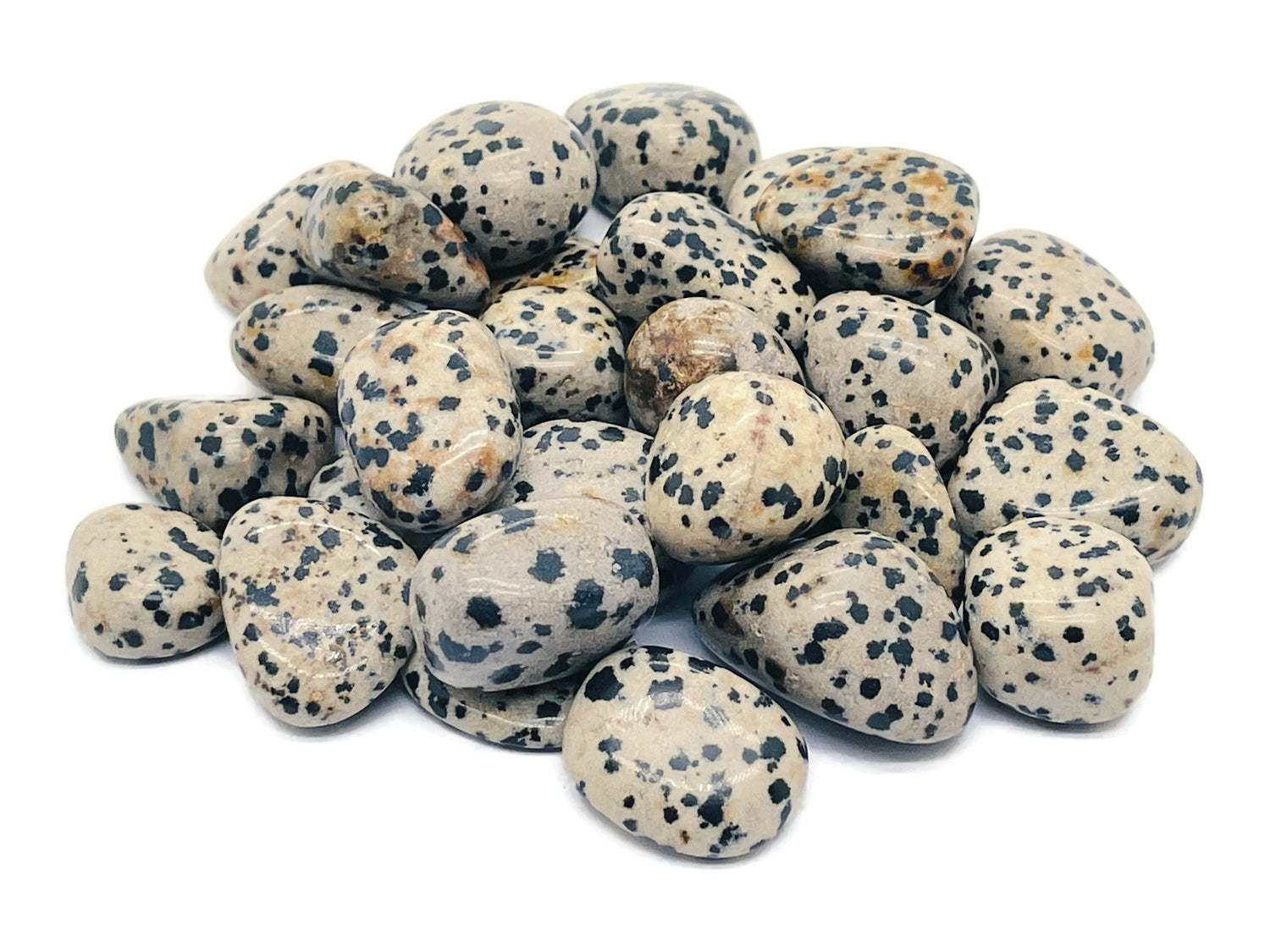 Dalmatian Jasper Tumbled Stone - TU1181