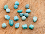 Polished Amazonite tumbled stone from GemstoneGO, showcasing smooth, vibrant blue-green mineral with natural variations and glossy finish.
