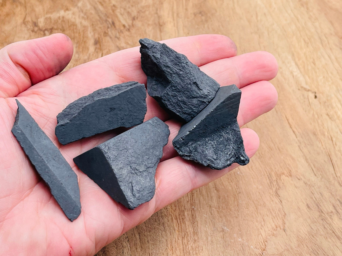 Raw Shungite gemstone from GemstoneGO showing a dark, textured mineral specimen with natural rough surface and irregular shape.