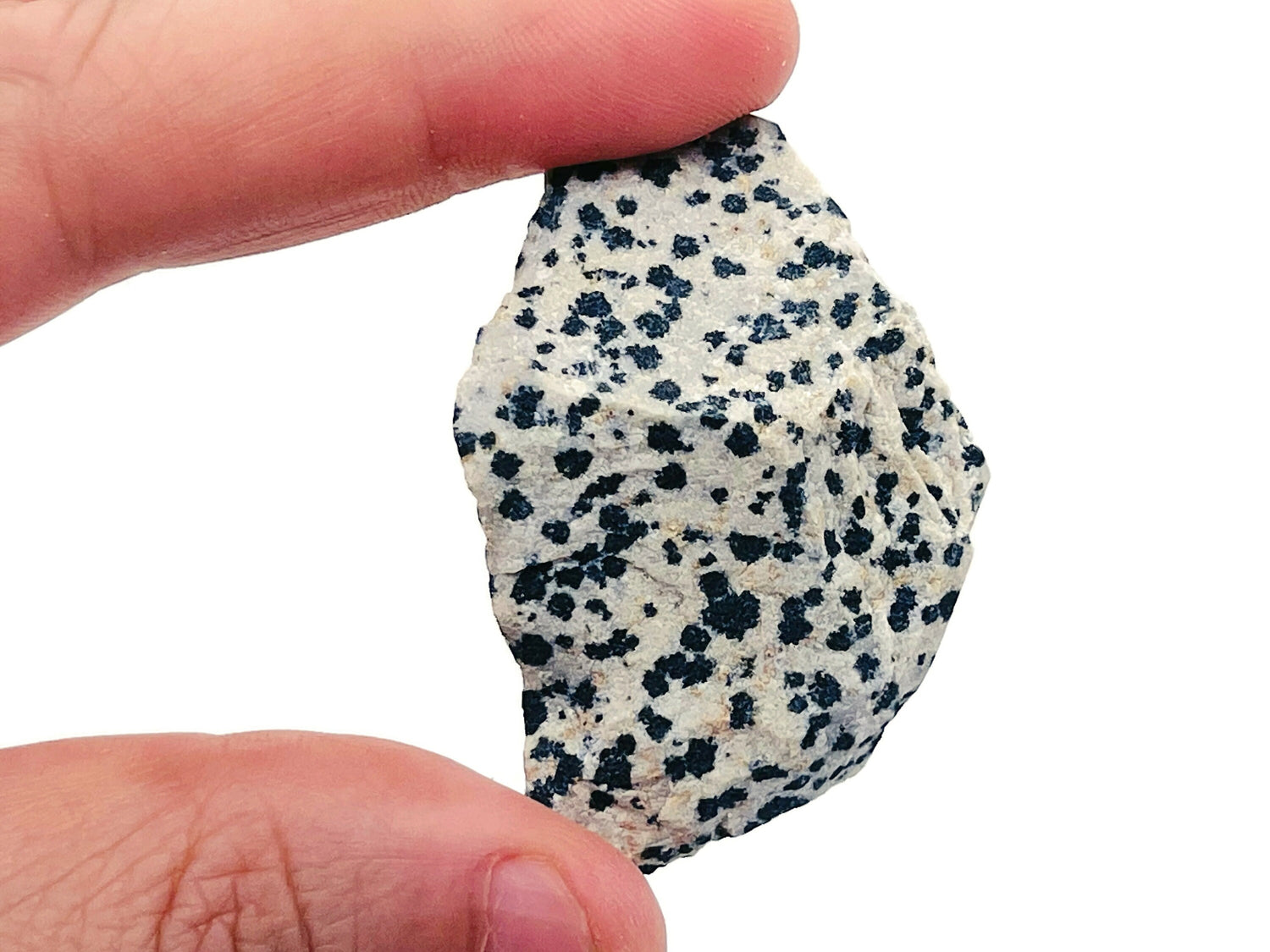 Raw Dalmatian Jasper Gemstone - RA1035