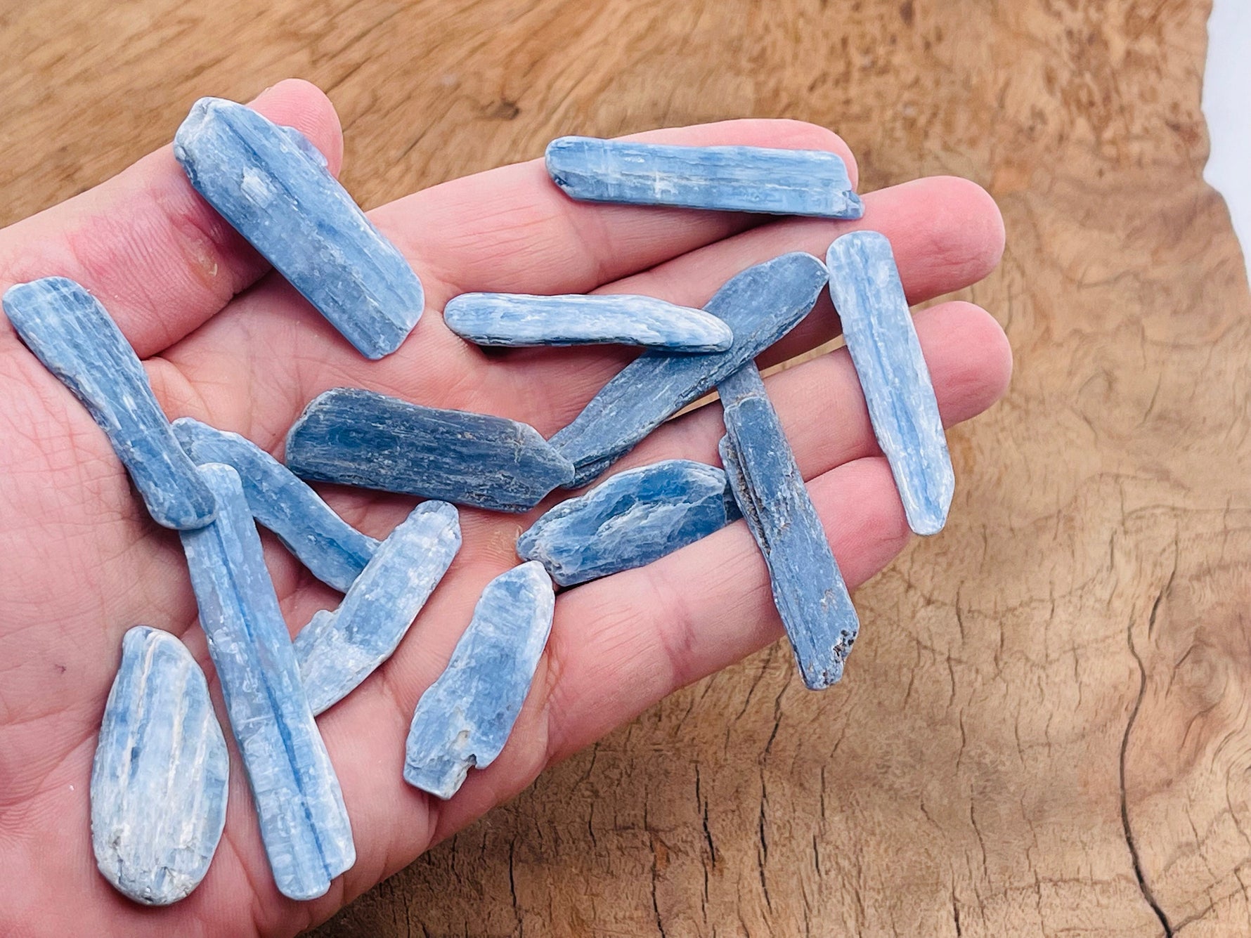 Raw kyanite gemstone from GemstoneGO featuring deep blue, natural crystal formation with rough texture and crystalline structure.