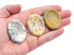 Crazy Lace Agate worry stone from GemstoneGO, soothing crystal with colorful banded patterns, measuring 4.5x3.5cm.