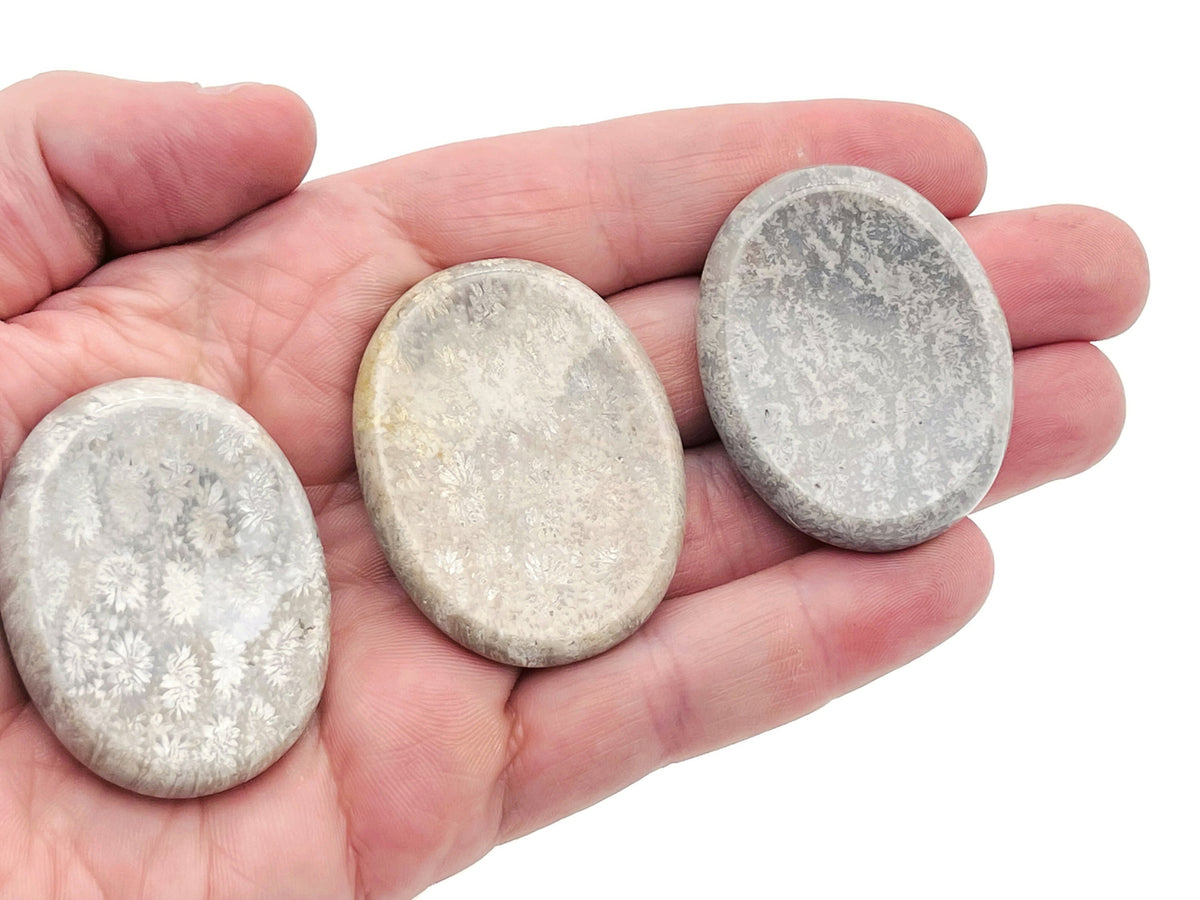Fossil coral worry stone from GemstoneGO, soothing crystal, 4.5x3.5cm, polished fossil coral gemstone for stress relief and meditation.