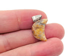 Crazy Lace Agate moon crystal pendant from GemstoneGO, featuring intricate lace patterns and a polished teardrop shape.