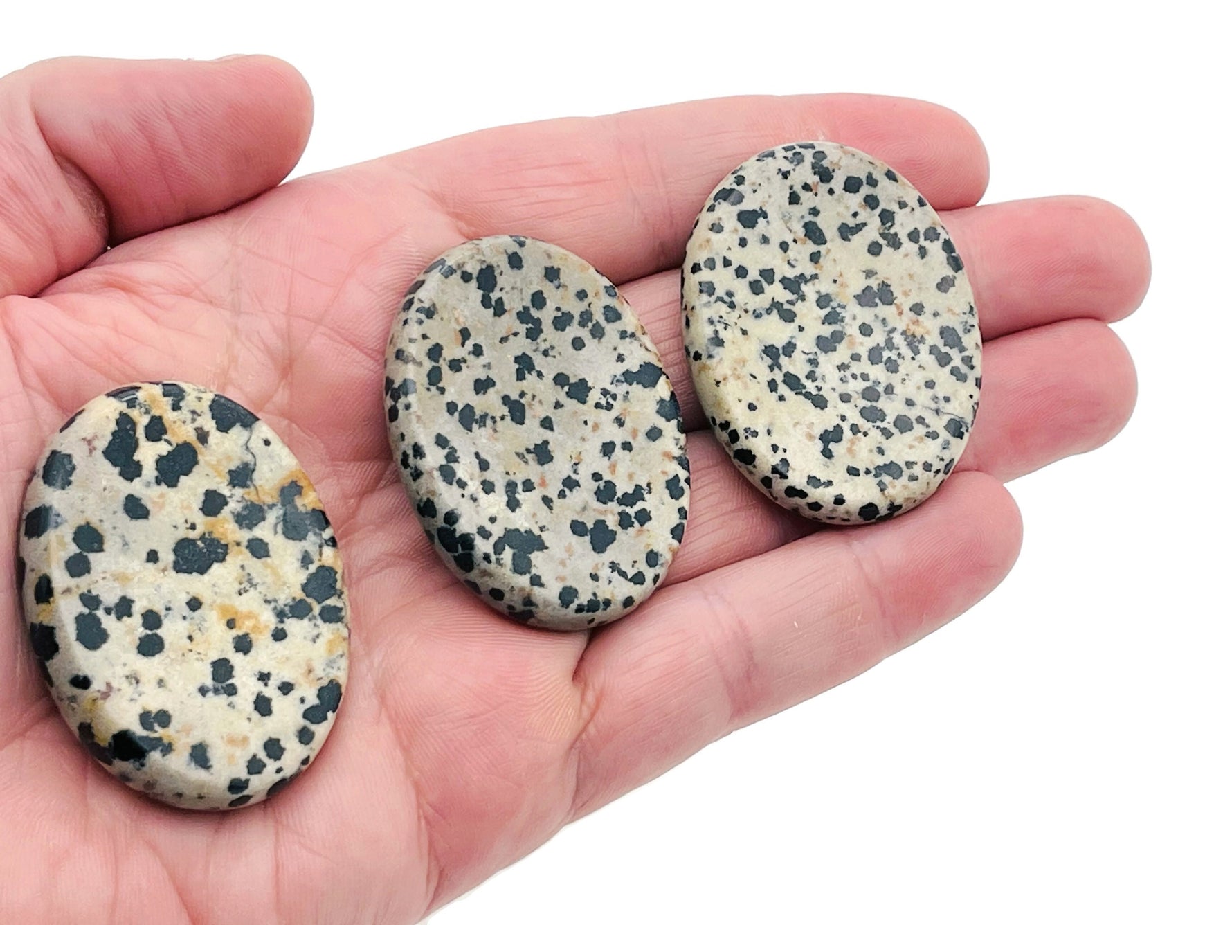 Dalmatian Jasper worry stone from GemstoneGO, 4.5x3.5cm, featuring black spots on creamy background, used as soothing healing crystal.