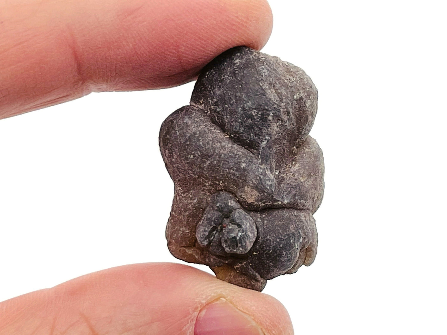Calcédoine truffée - Nodule de calcédoine - Agate panda - Agate utérine - Pierre détachée - RA1179