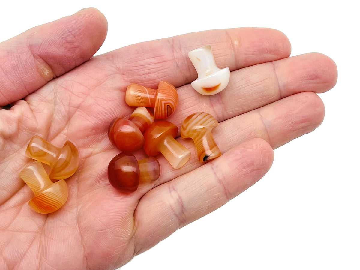Carnelian mushroom carved gemstone pendant, 20mm, from GemstoneGO showcasing detailed mushroom design and vibrant orange color.