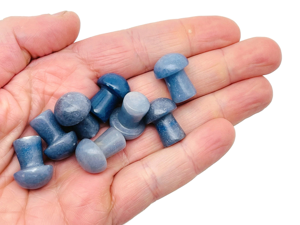 Blue aventurine mushroom carved gemstone, 20mm, showing smooth polished surface and detailed mushroom shape from GemstoneGO.