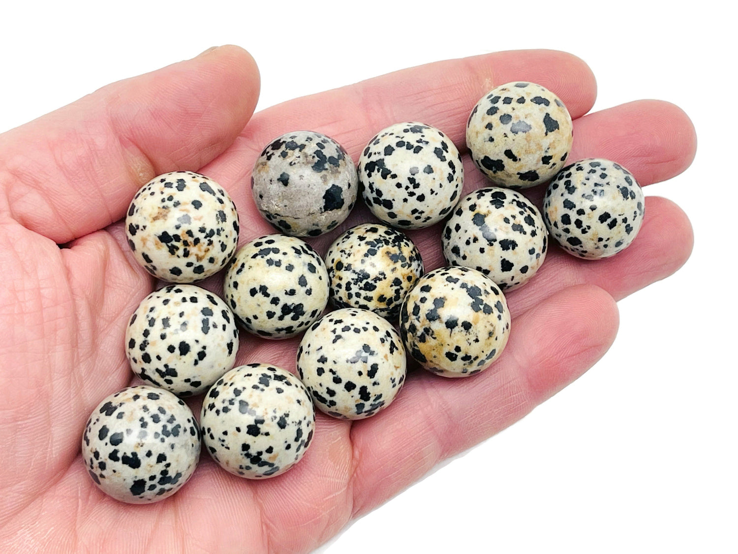 Dalmatian Jasper Sphere Gemstone - Crystal Ball - 20mm - SP1020