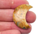 30mm Crazy Lace Agate gemstone moon from GemstoneGO, featuring vibrant, intricate lace patterns on a polished moon-shaped pendant.