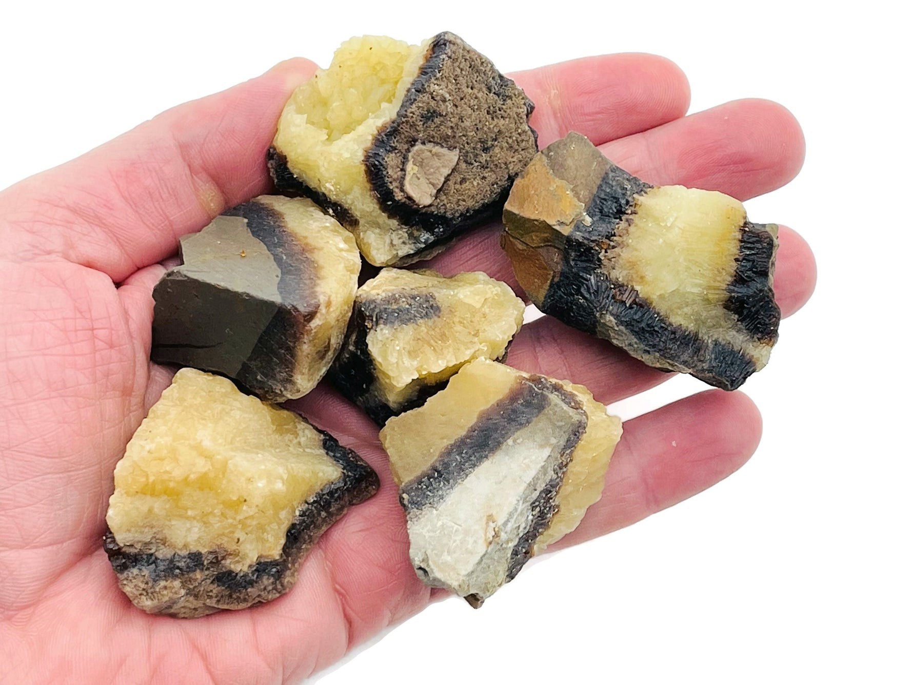 Raw Septarian gemstone, also known as Dragon Stone, from GemstoneGO, showing its earthy textures and natural mineral patterns.