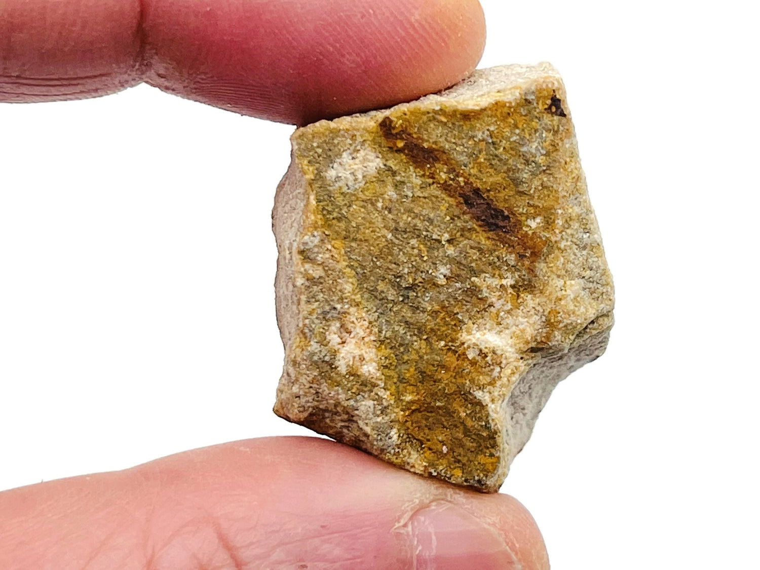 Raw Desert Sandstone Gemstone - RA1195