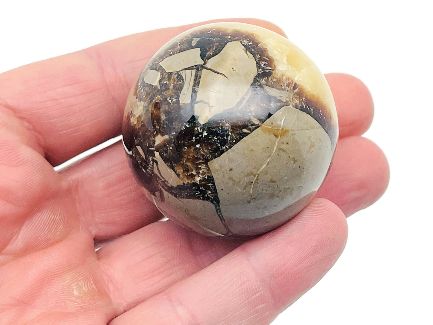 Septarian Sphere Gemstone - Crystal Ball - Dragon Stone - 40-50mm - BA1004