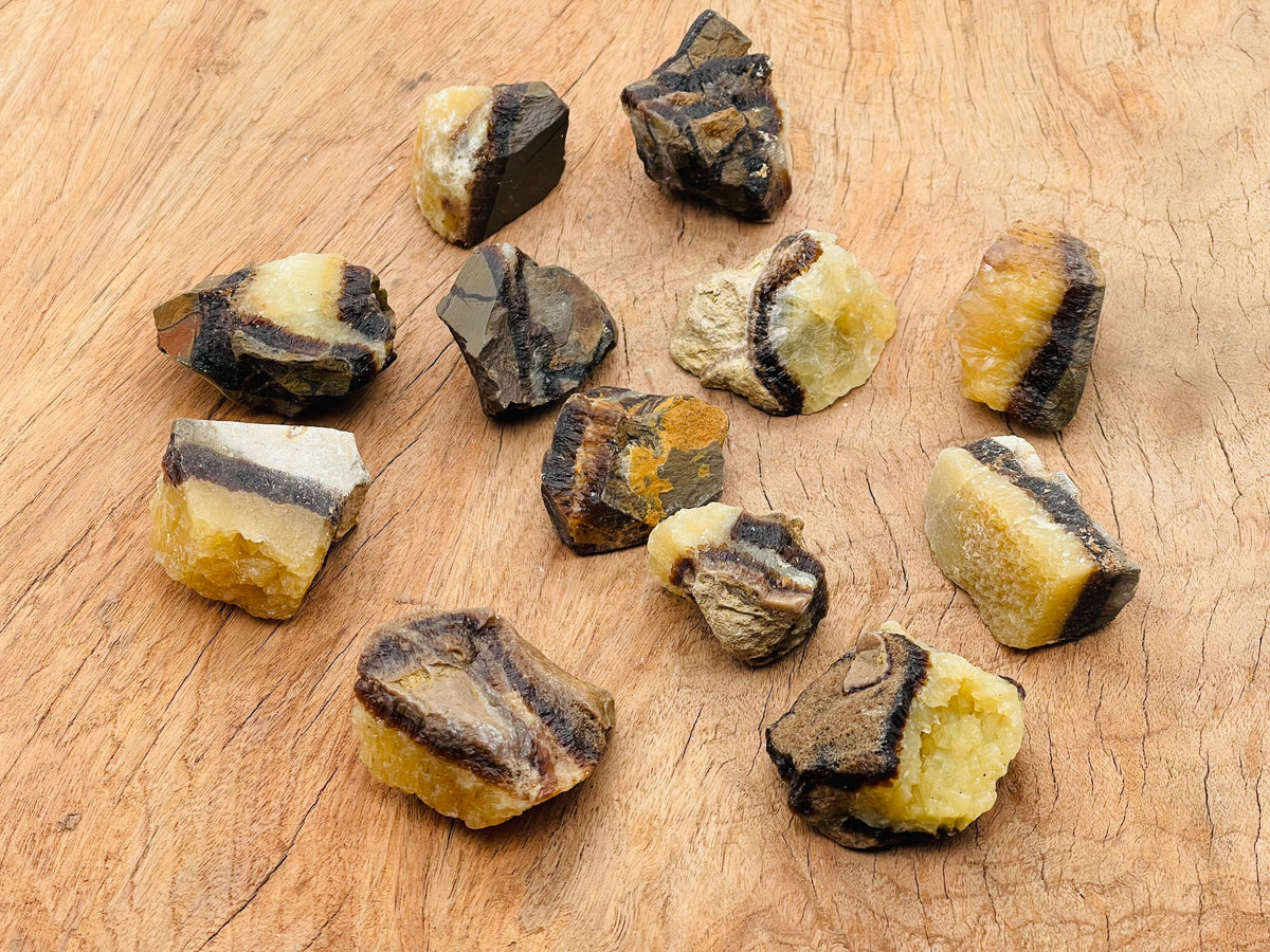 Raw Septarian gemstone, also known as Dragon Stone, from GemstoneGO showing its earthy textures and natural mineral patterns.