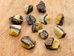 Raw Septarian gemstone, also known as Dragon Stone, from GemstoneGO showing its earthy textures and natural mineral patterns.