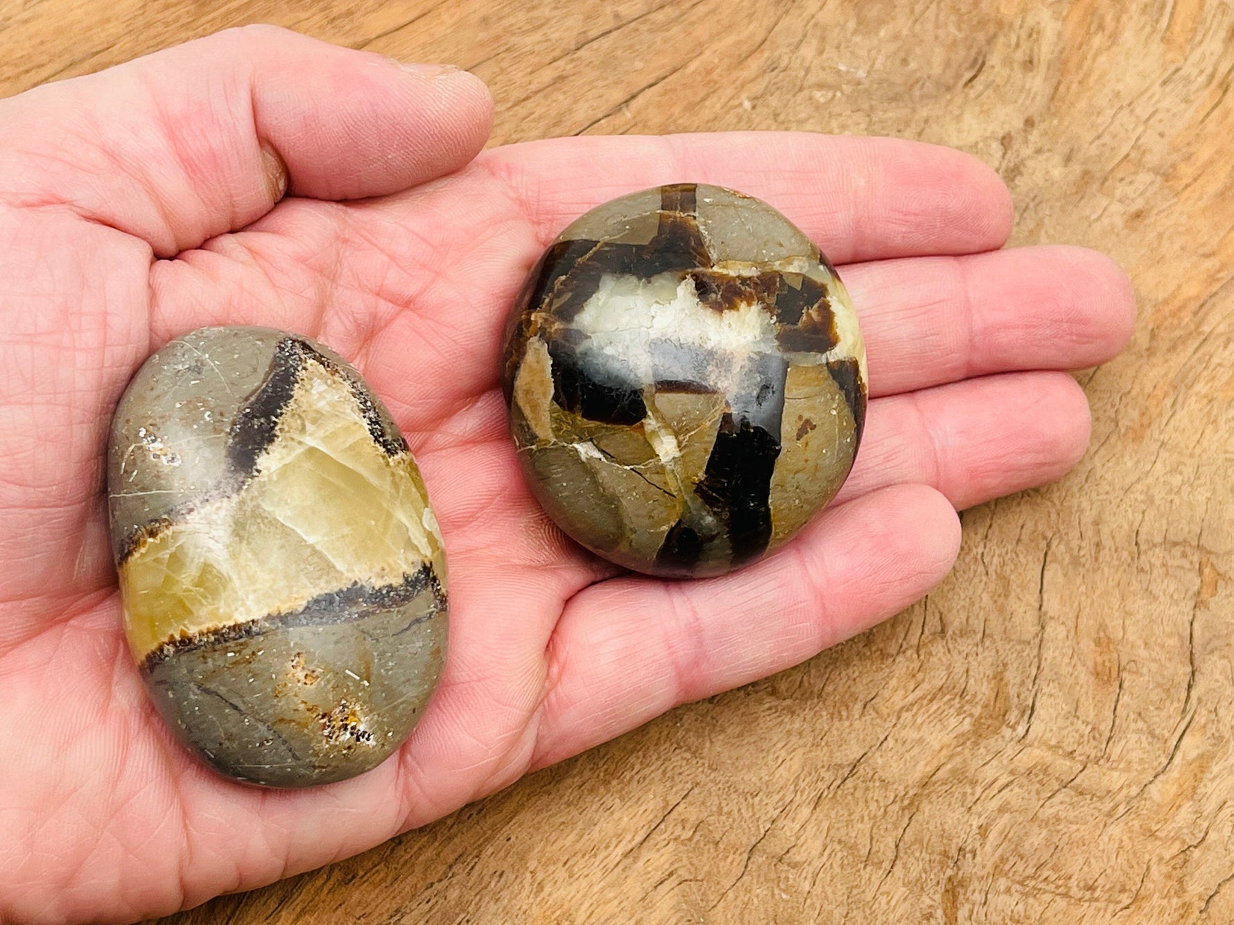 Septarian palm gemstone spa stone, dragon stone mineral from GemstoneGO, showing natural earthy tones and textured surface.