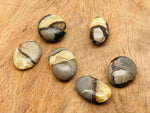 Septarian palm gemstone spa stone with natural dragon stone pattern, handcrafted by GemstoneGO for meditation and relaxation.