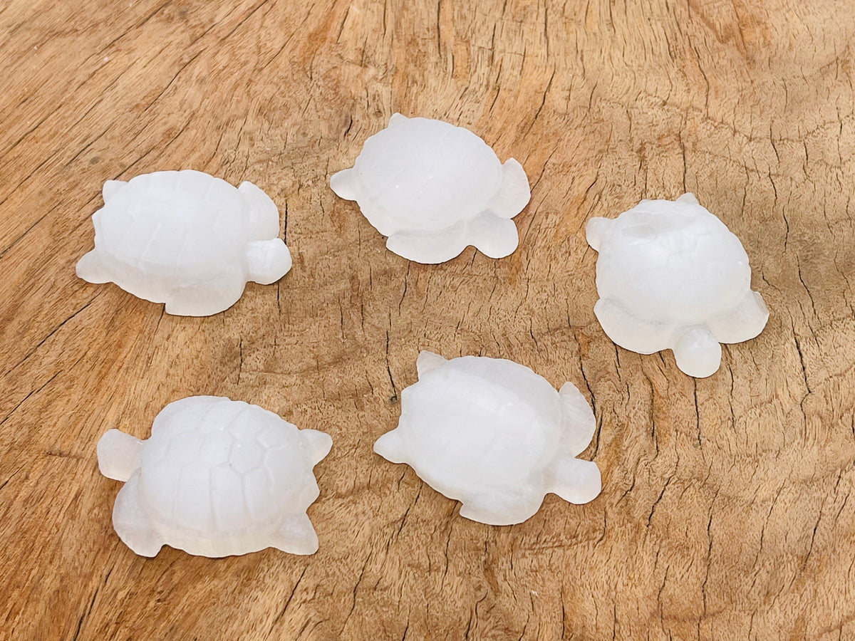 Selenite turtle gemstone carving from GemstoneGO showing a smooth, white selenite turtle sculpture with natural stone details.