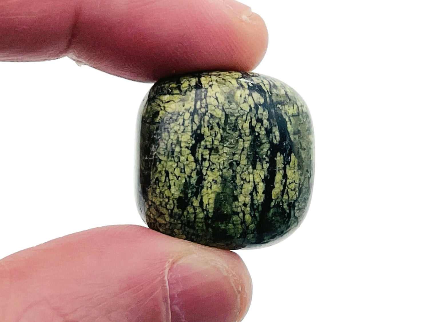 Pierre roulée d'astérite serpentine ?€? Cristal d'astérite serpentine - Pierre non montée - TU1260