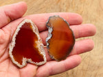 Red agate gemstone slice with drilled hole, showcasing natural red geode crystal, ideal for jewelry making and pendants.