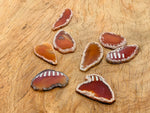 Red Agate slice drilled gemstone pendant showing a vibrant red agate geode with natural banding and a drilled hole for jewelry.