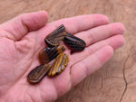 Tiger Eye Angel Wing crystal pendant with hole charm, showcasing polished gemstone and detailed angel wing design from GemstoneGO.